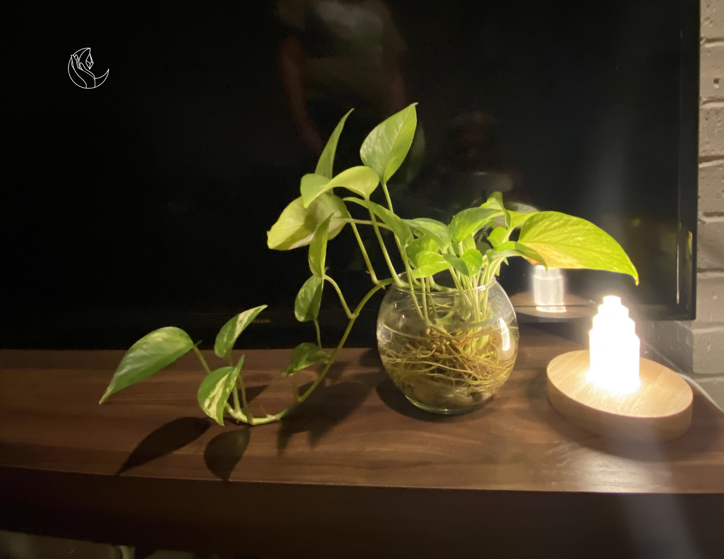 Aura Selene Selenite Energy Lamp